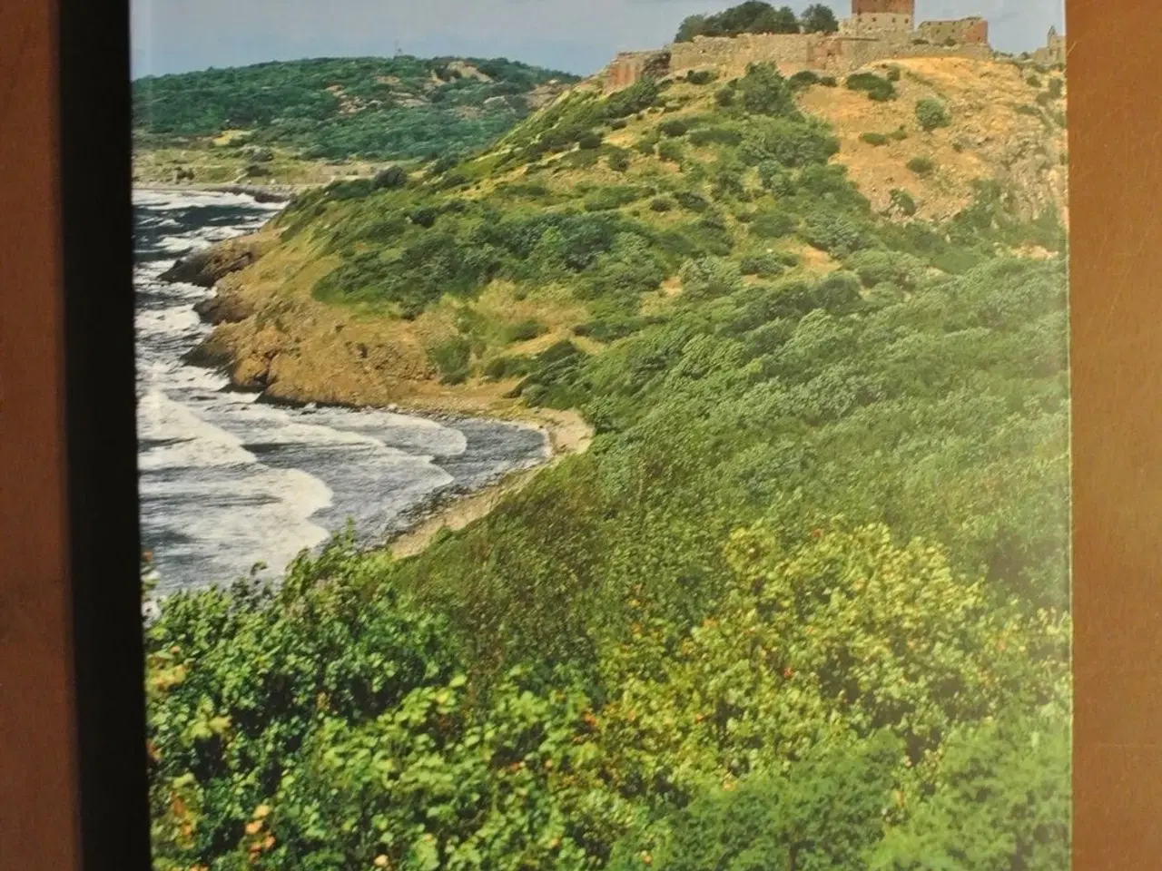 Billede 1 - bornholm - en naturguide, af benny gensbøl og lott