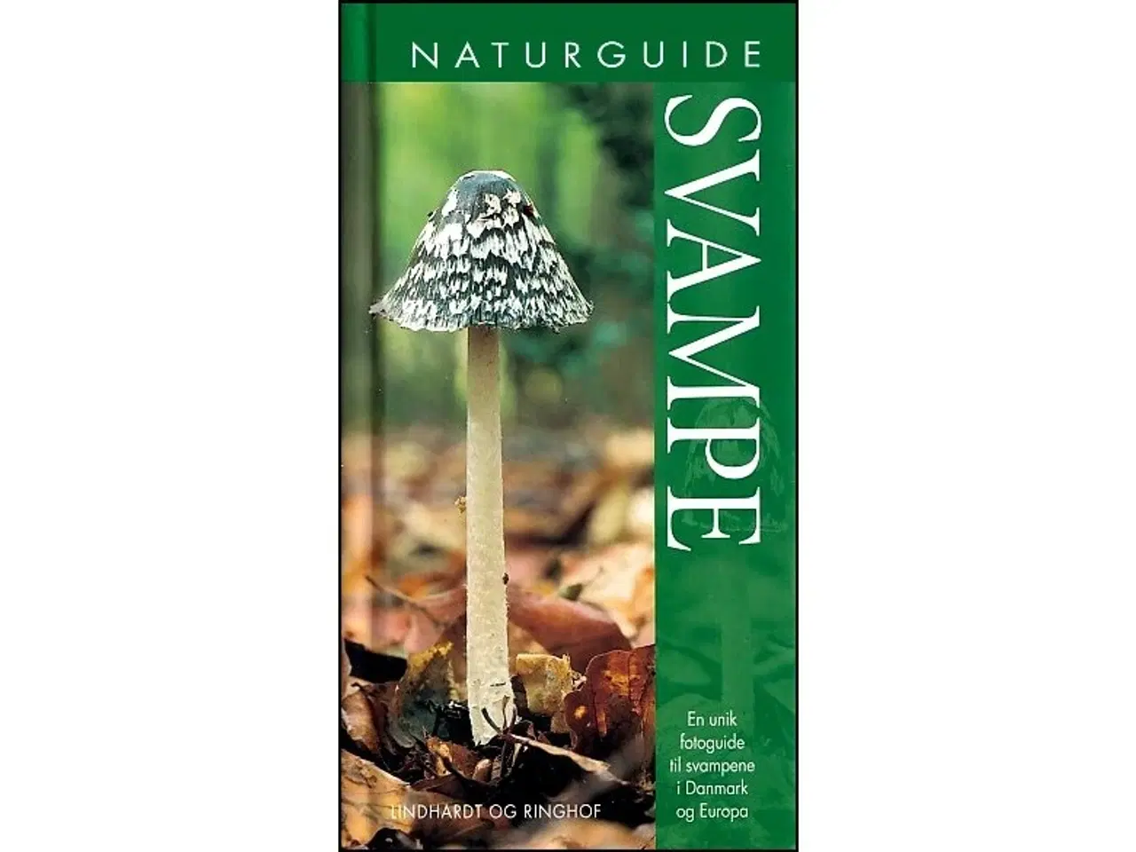 Billede 1 - Naturguide - Svampe