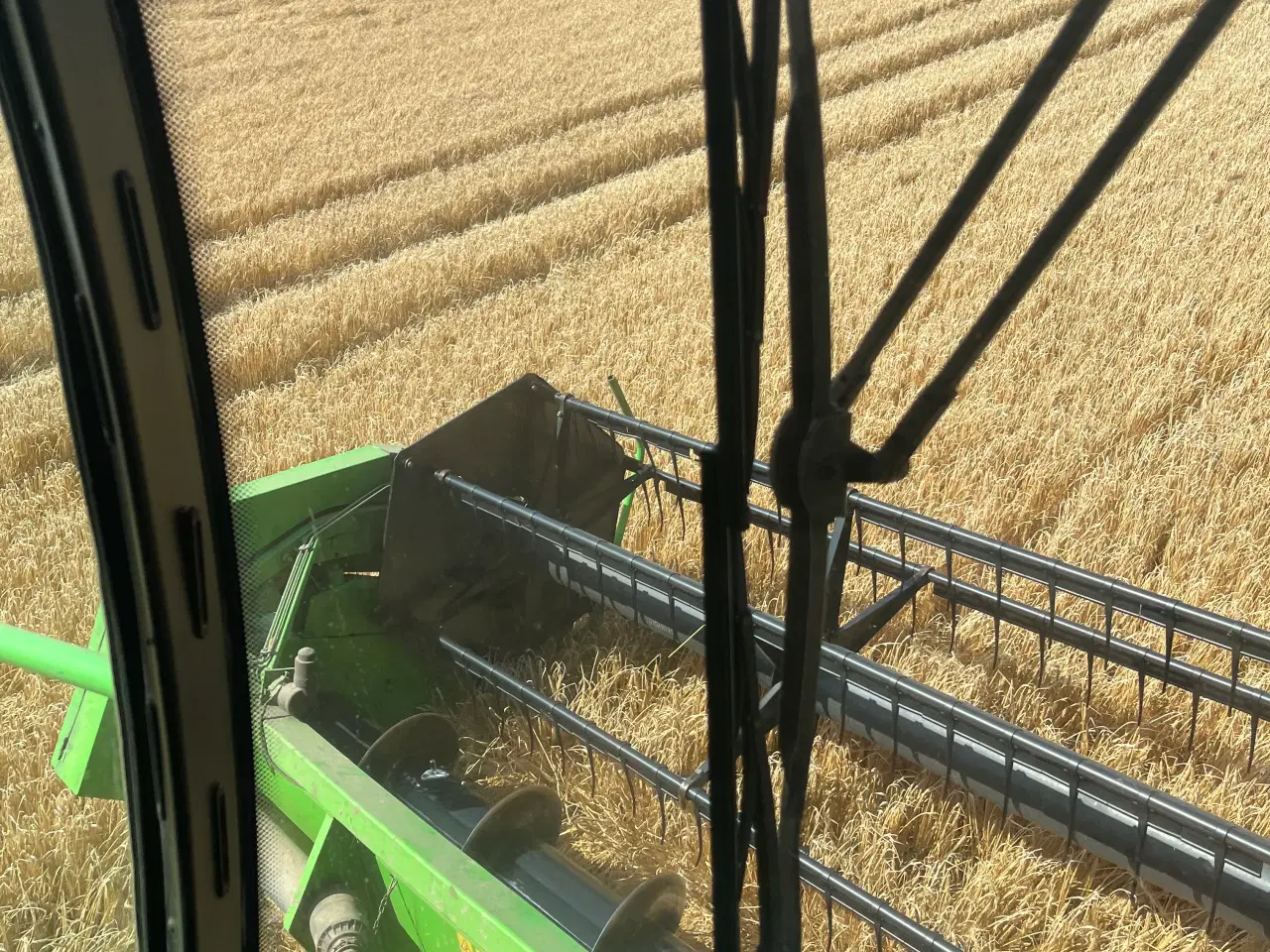 Billede 2 - Byg, hvede og havre