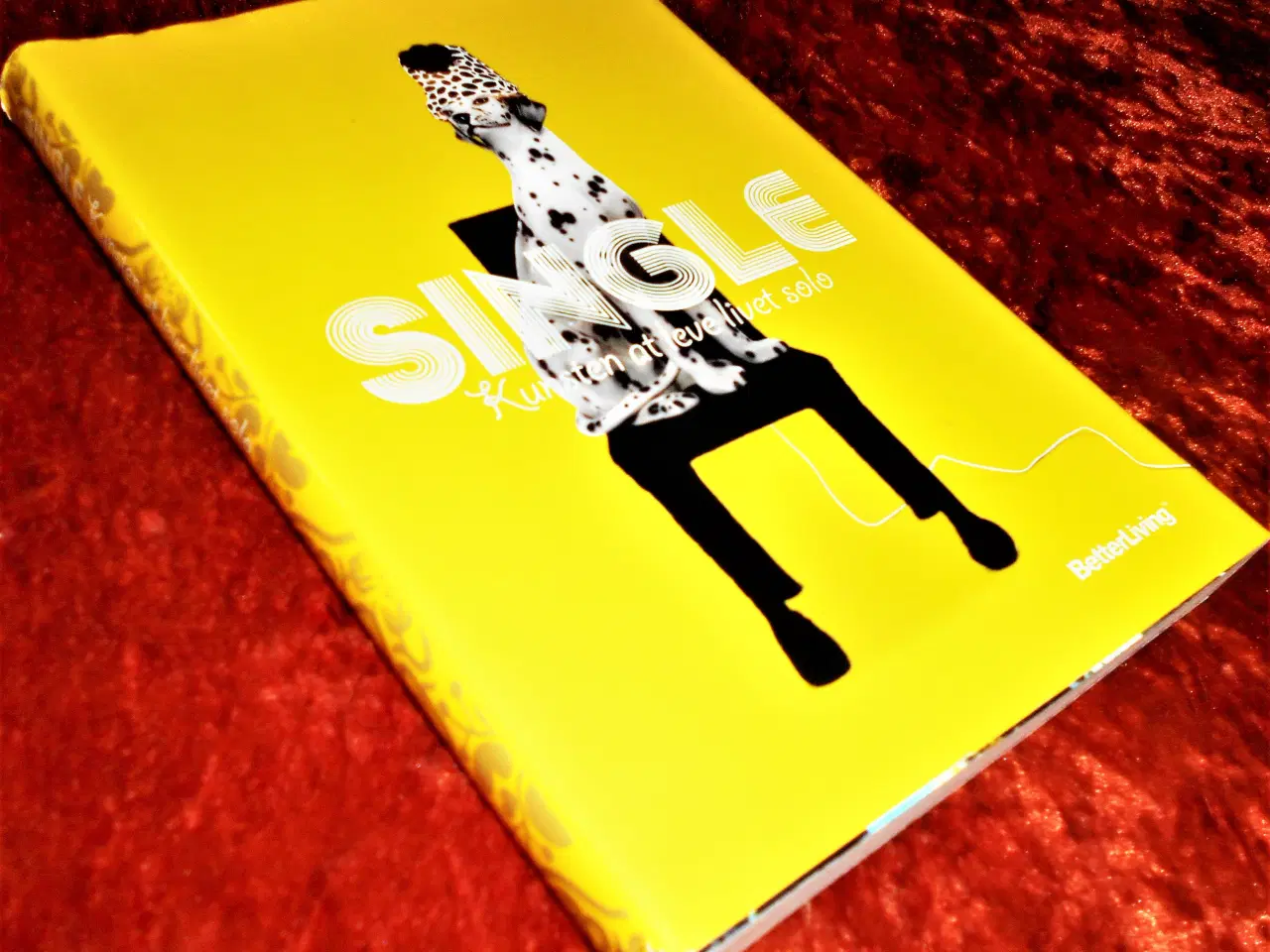 Billede 1 - Single - kunsten at leve livet solo, 