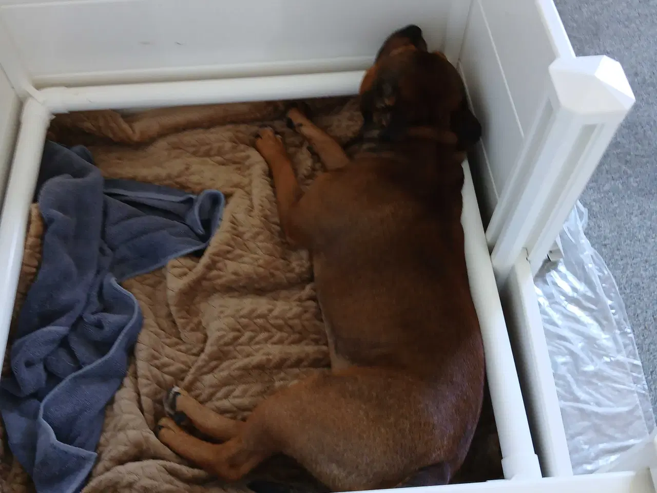 Billede 2 - Ollipet fødekasse