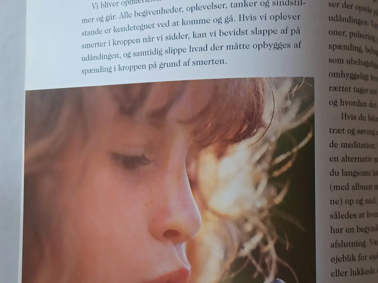 Billede 3 - VEJEN TIL INDRE RO