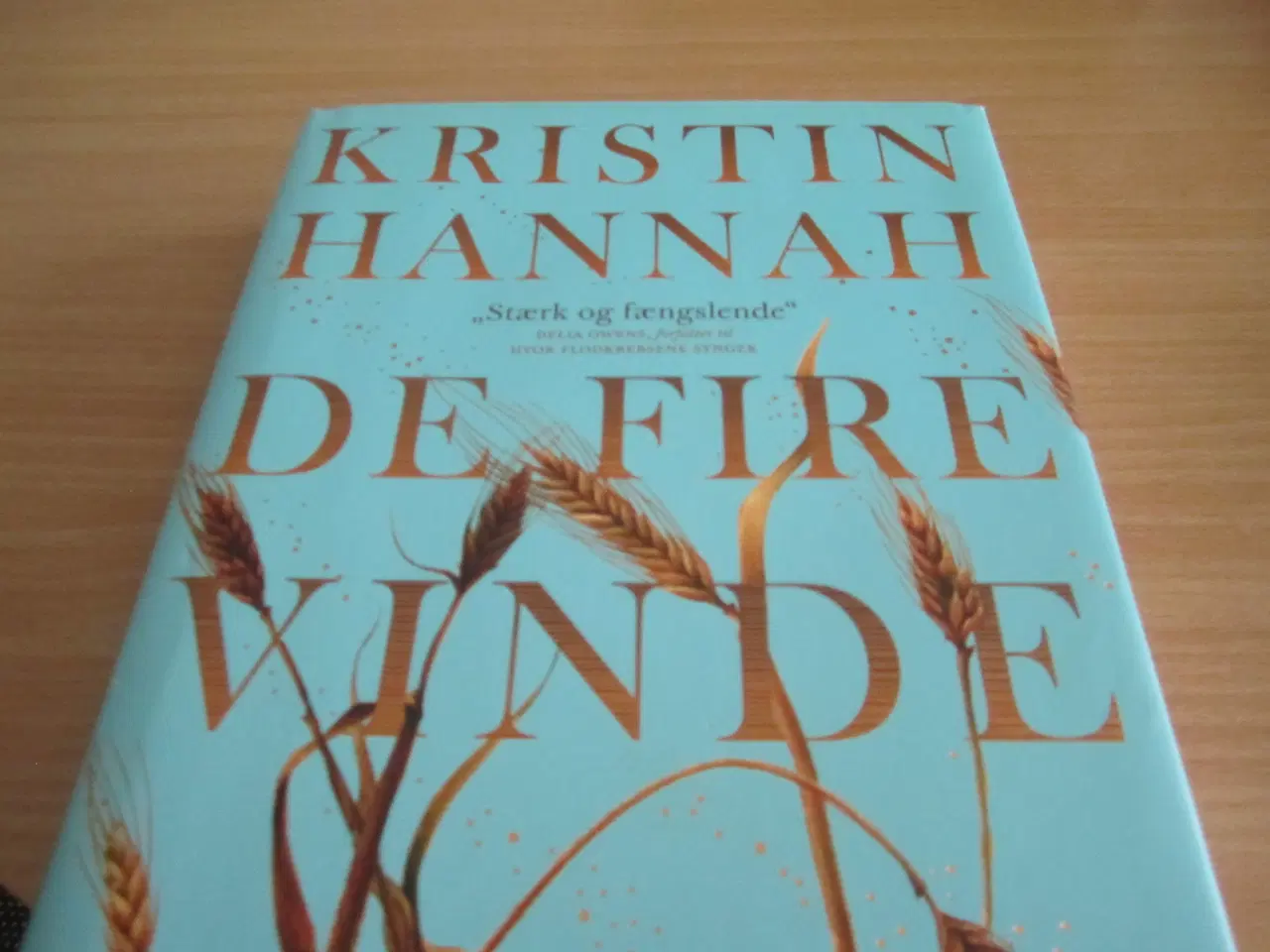 Billede 1 - KRISTIN HANNAH. De Fire Vinde.