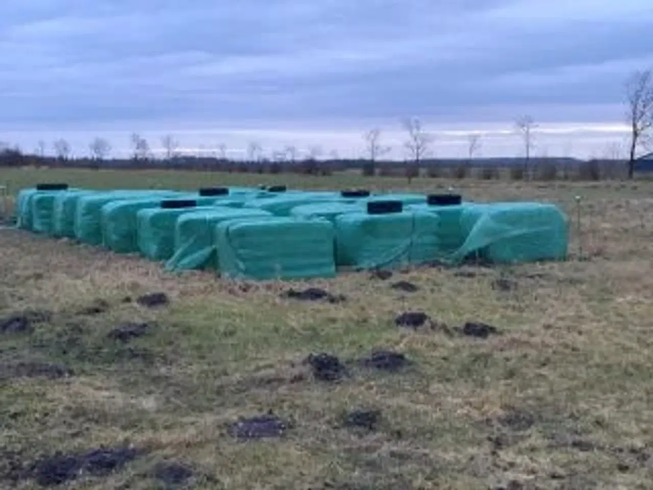 Billede 2 - Wrap Hø 2025