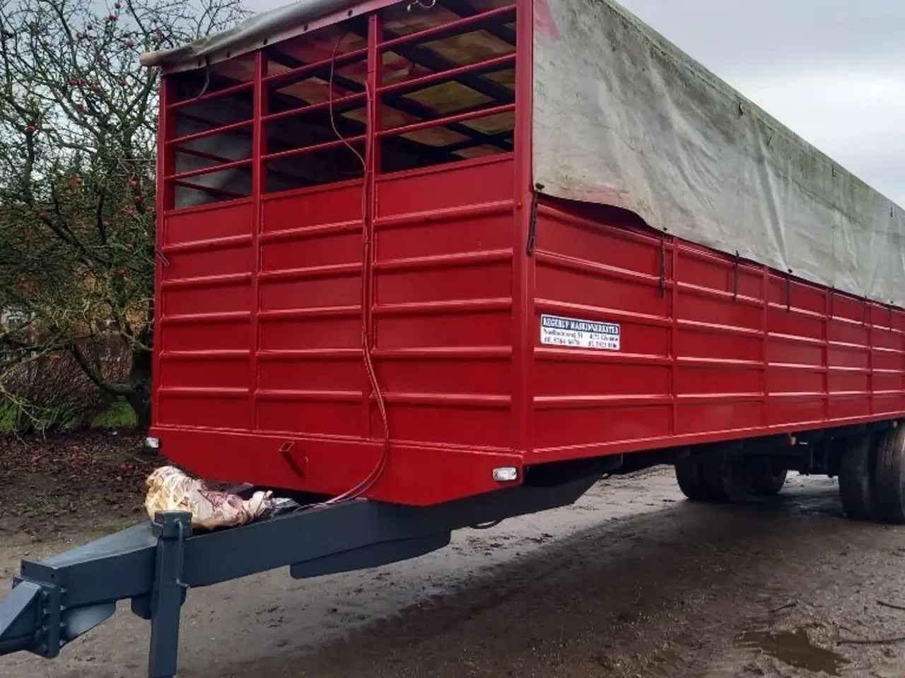 Billede 2 - Regerup Kvægtransport