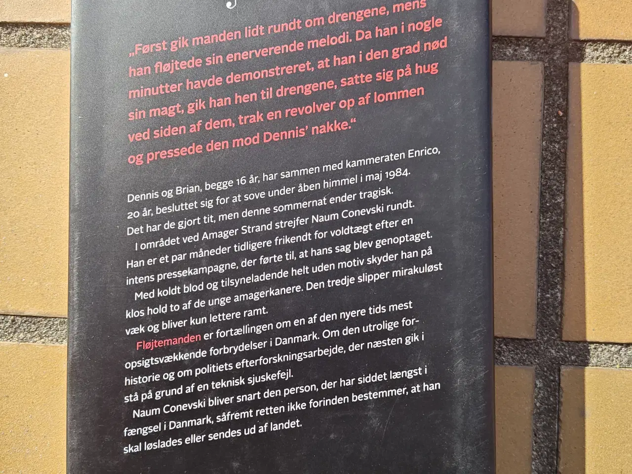 Billede 2 - Fløjtemanden Dobbeltdrabet på femøren BOG