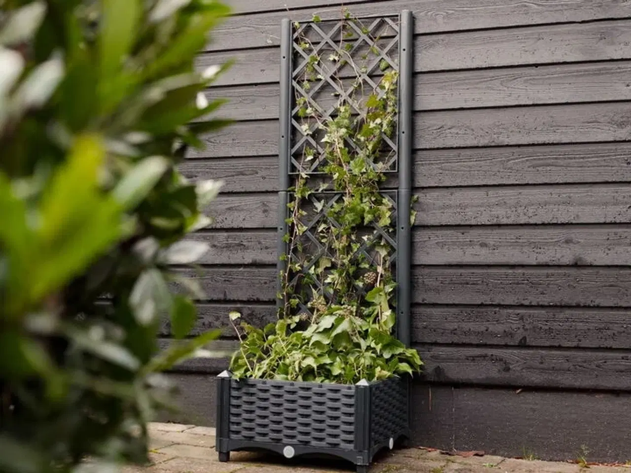 Billede 1 - 3 stk.plantekasse med espalier(ubrugt)