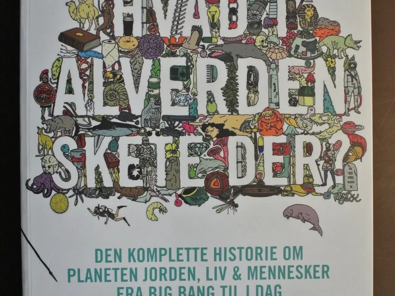 Billede 1 - hvad i alverden skete der, af christopher lloyd, e
