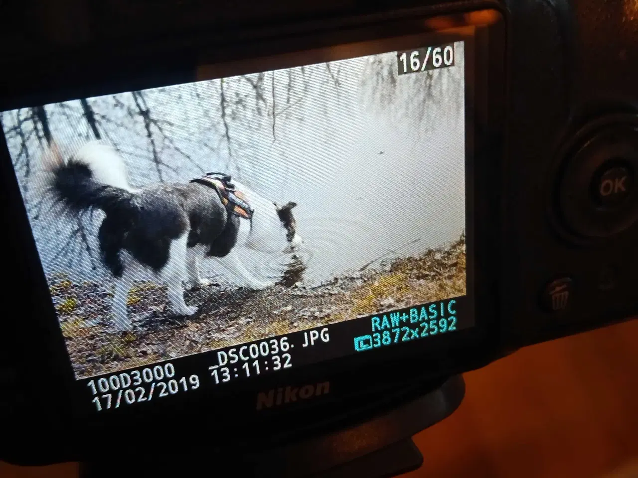 Billede 4 - Nikon D3000 spejlreflekskamera – komplet sæt – kla