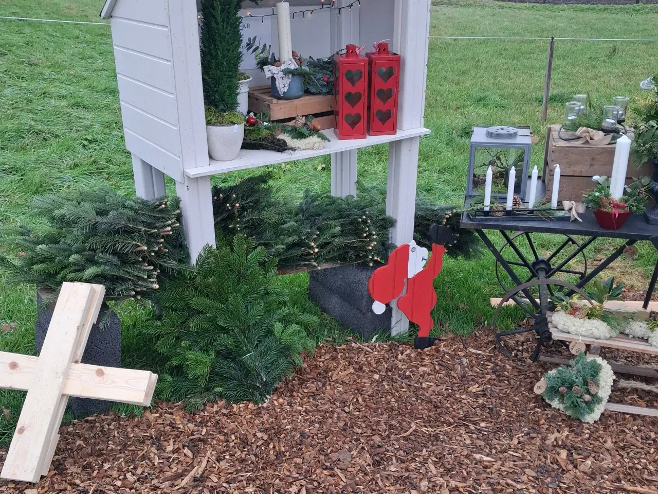 Billede 2 - Jule træer sælges kertevej 6 5560
