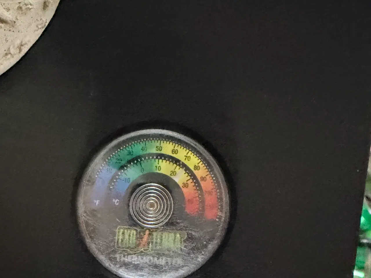 Billede 8 - Udstyr til krybdyr 