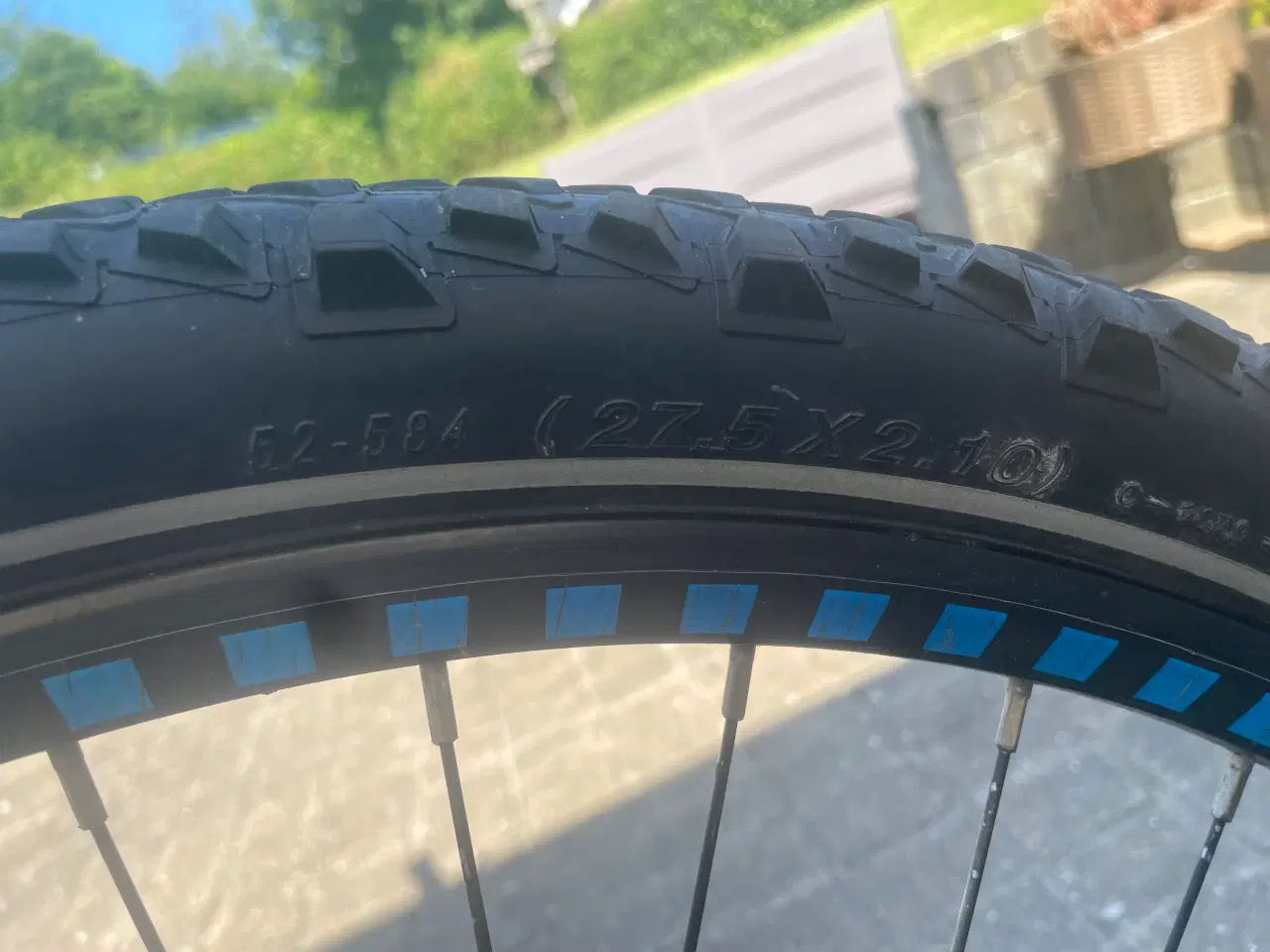 Billede 5 - Cykler kildmoes