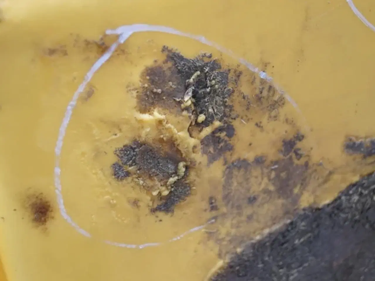 Billede 10 - New Holland TX68 Dieseltank 84037094