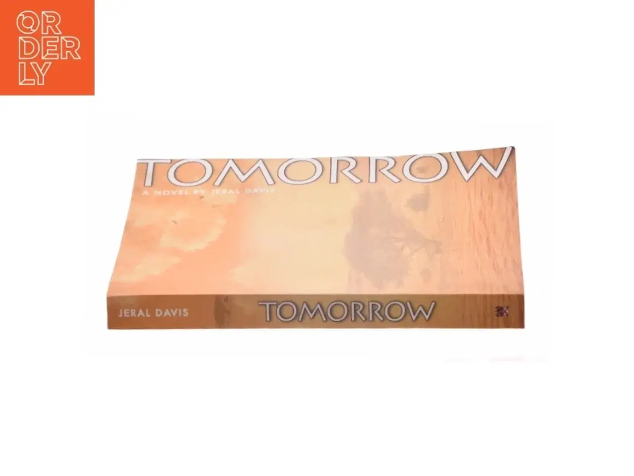 Billede 3 - Tomorrow af Jeral Davis (Bog)