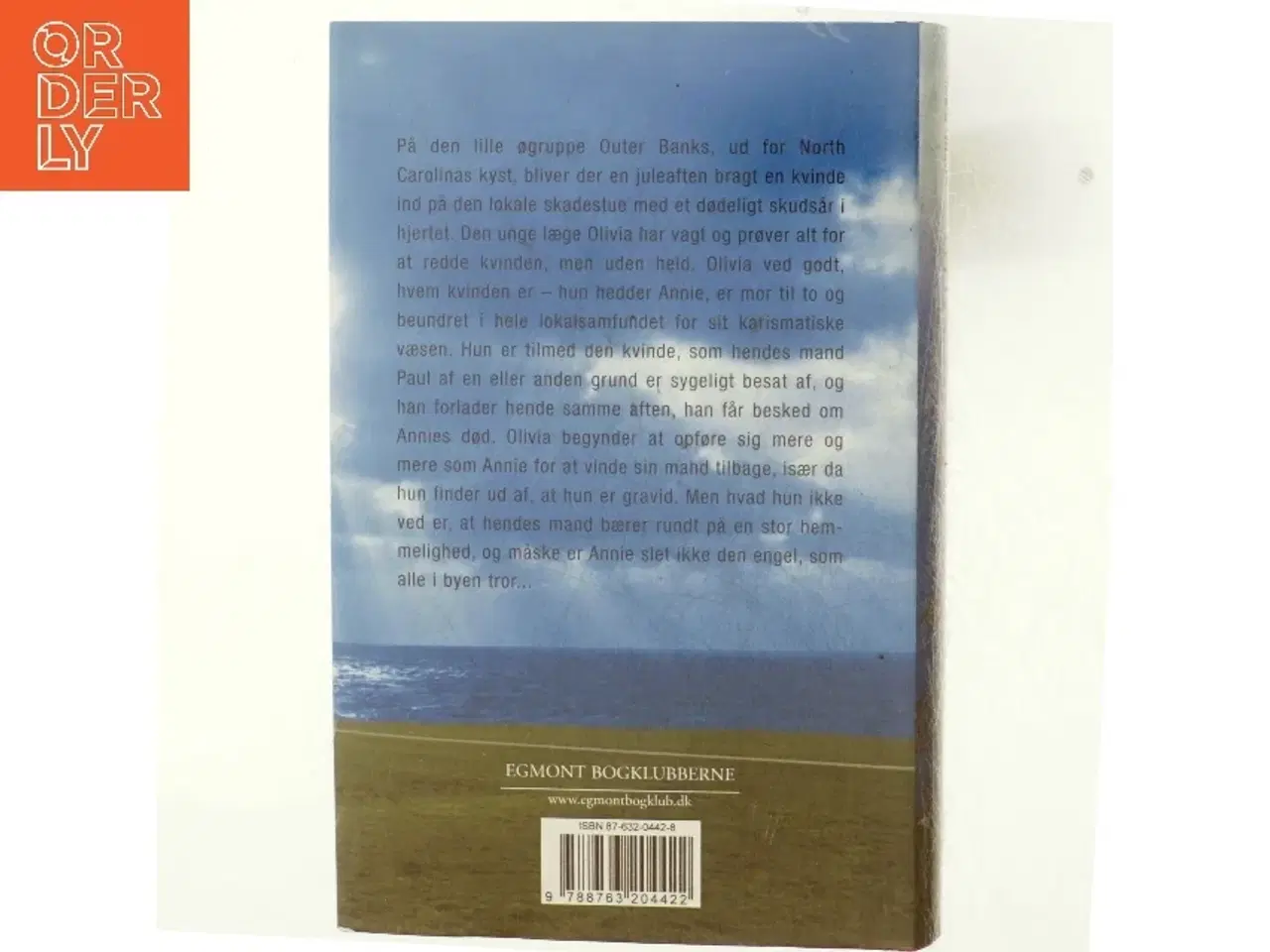 Billede 3 - Sandhedens smerte af Diane Chamberlain (Bog)