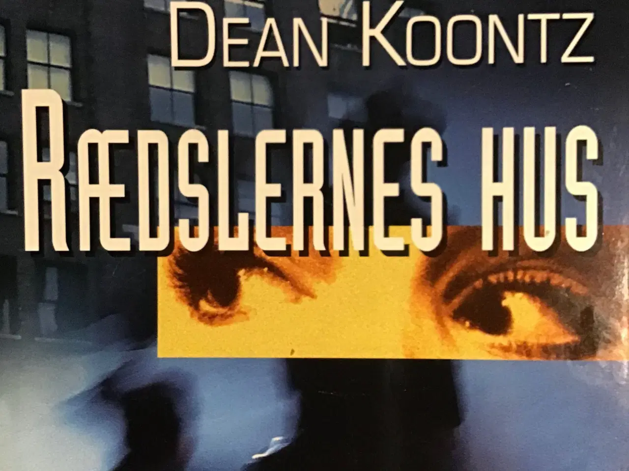 Billede 1 - Dean Koontz : Rædslernes hus