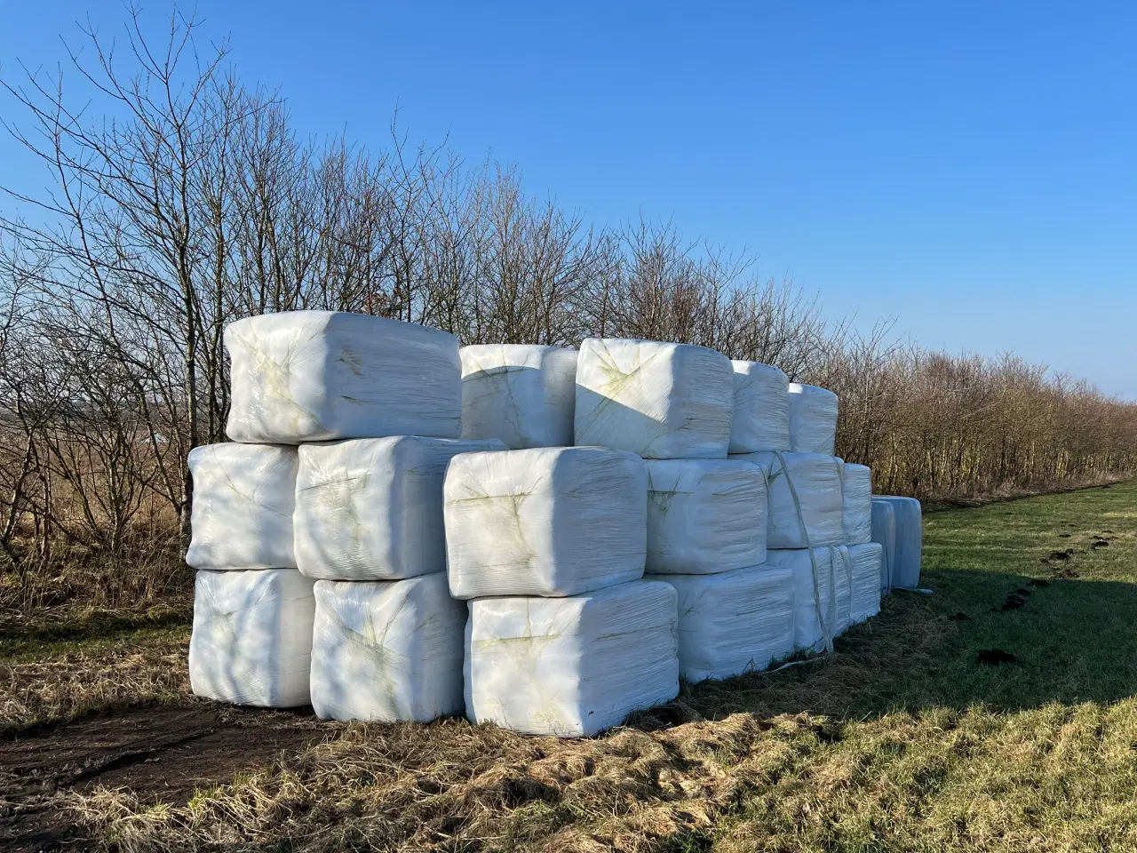 Billede 2 - Super tørt øko heste wrap