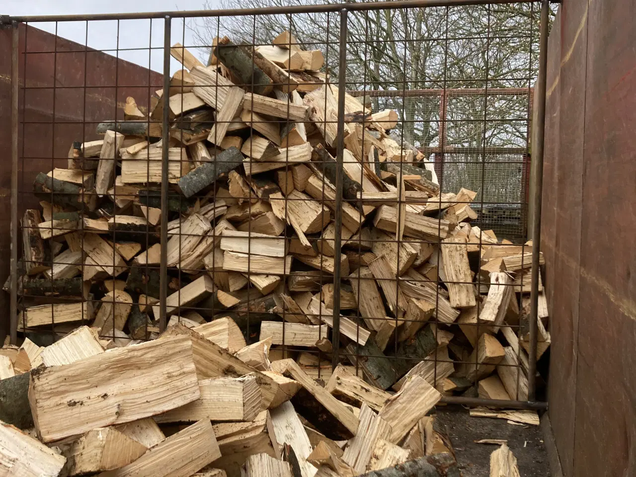 Billede 6 - Brænde af bøgetræ
