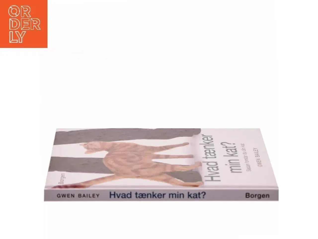 Billede 2 - Hvad tænker min kat? : sådan forstår du din kat af Gwen Bailey (Bog)