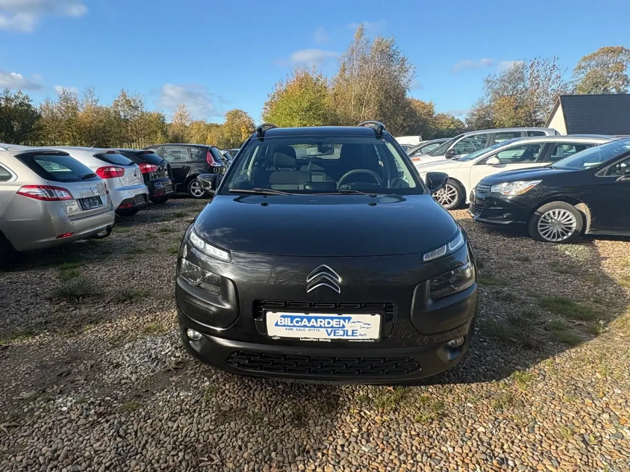 Billede 8 - Citroën C4 Cactus 1,6 e-HDi 92 Shine ETG6