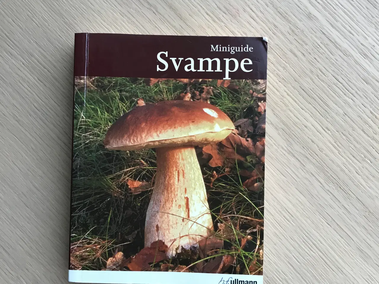 Billede 1 - Miniguide Svampe