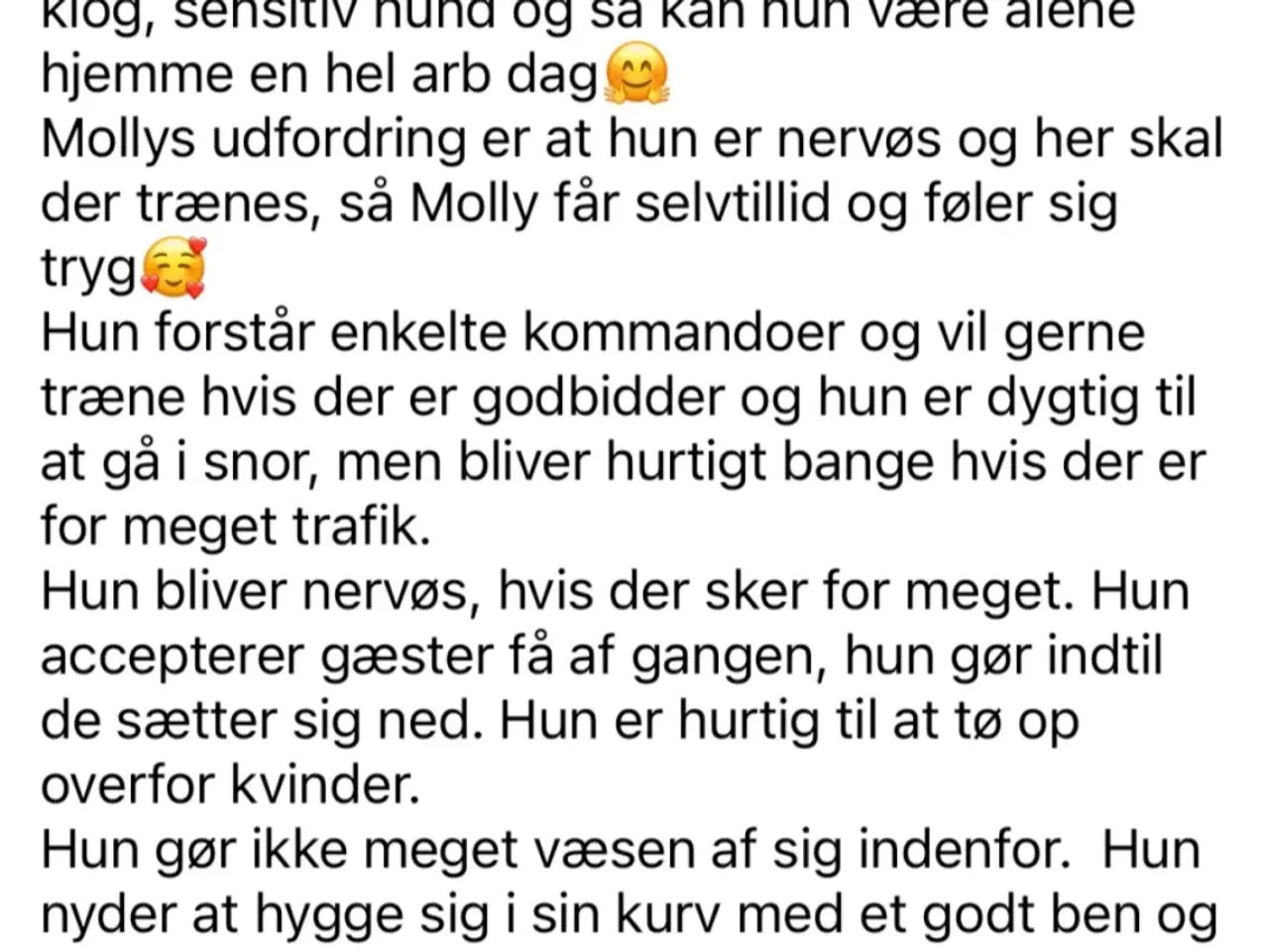 Billede 5 - Voksen hund.        