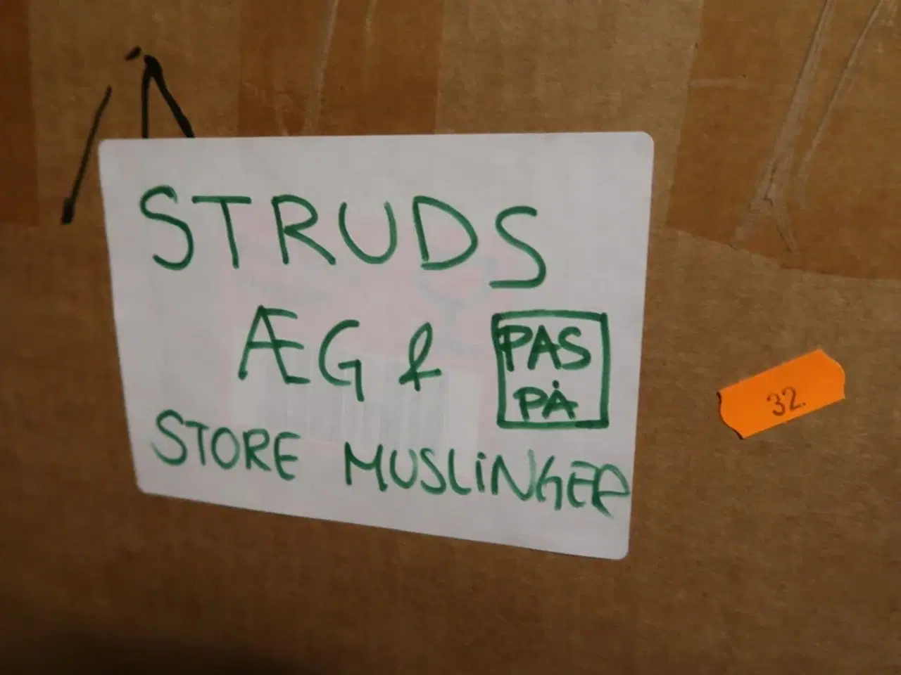 Billede 3 - Møbelhunde, dunke samt kasse med rekvisitter