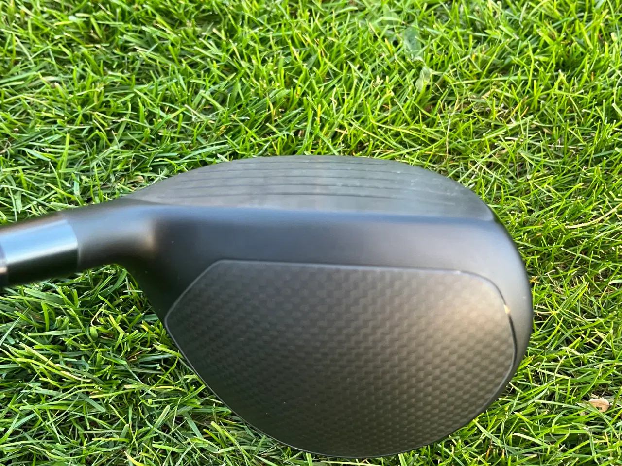 Billede 4 - Haywood 3 wood