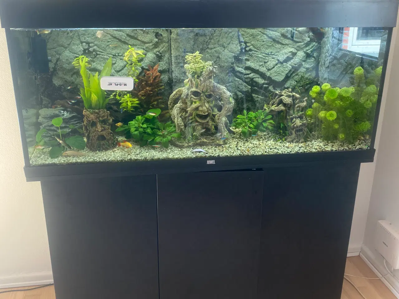 Billede 5 - Juwel akvarie