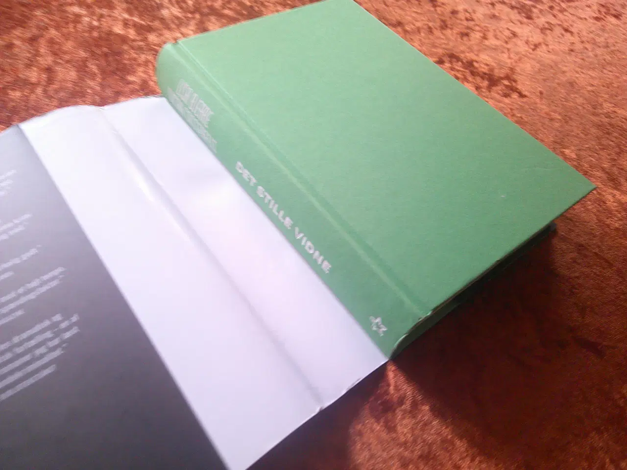 Billede 2 - Det stille vidne, Lisa Bjerre, Susan Casserfelt