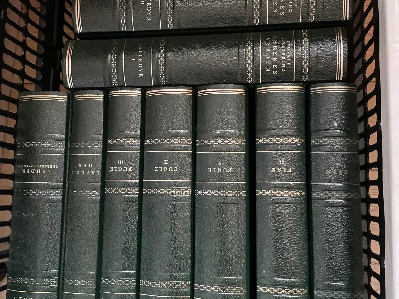 Billede 3 - Ingvald Lieberkinds Dyreleksikon 10 bind