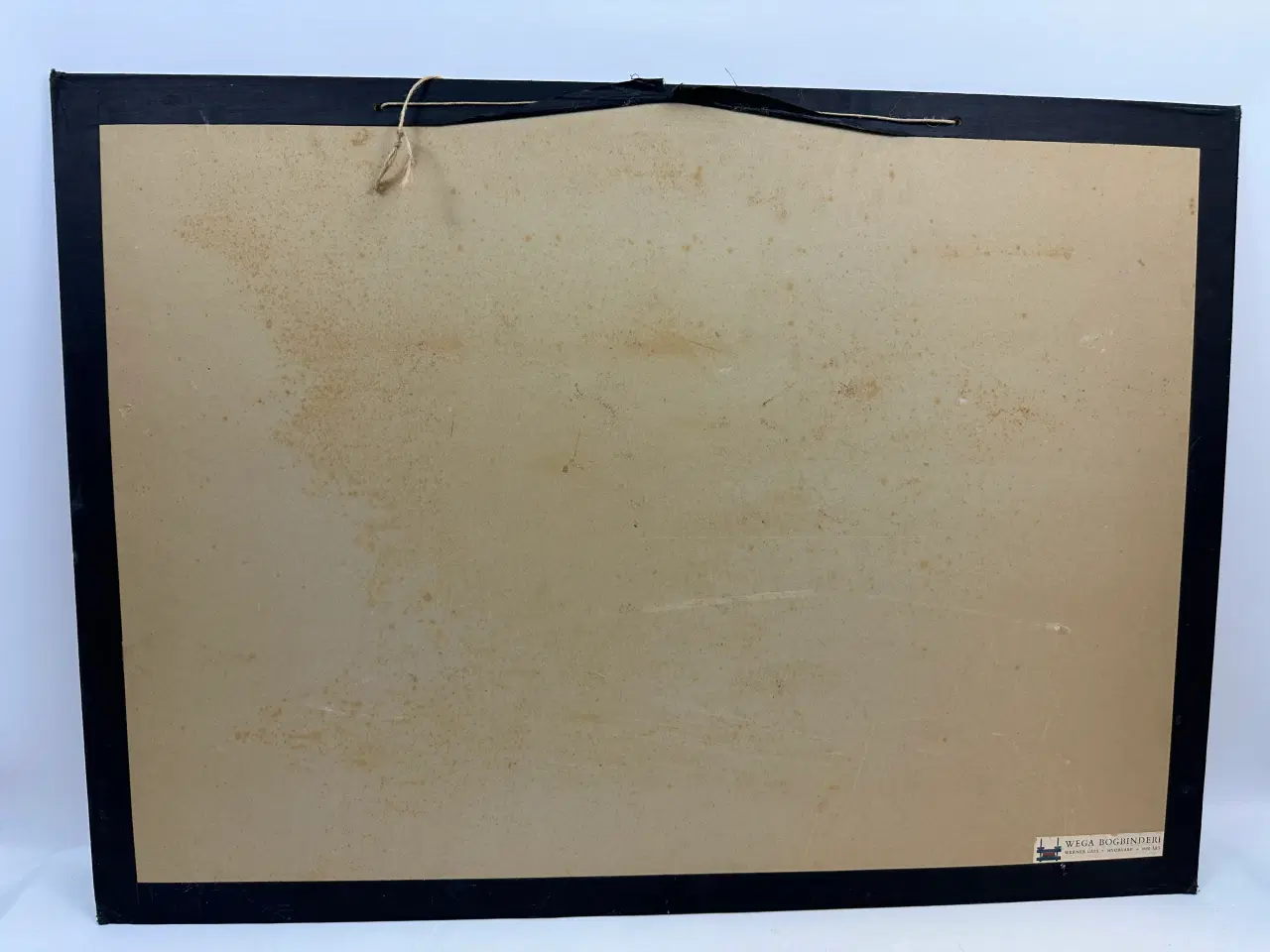 Billede 8 - Vintage skoleplanche (Fugle)