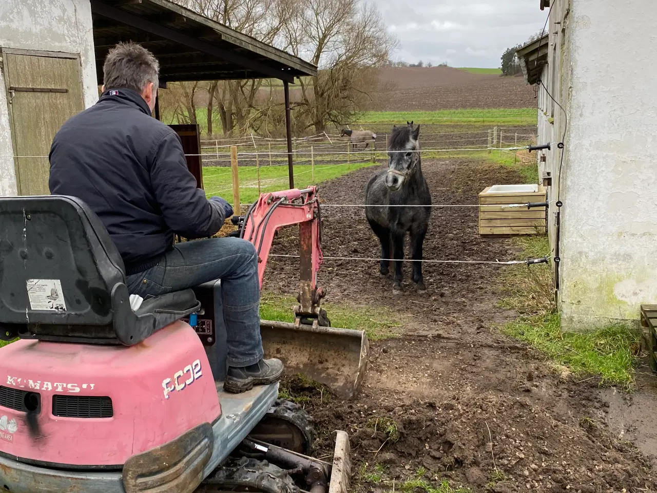 Billede 11 - Jake LF – 6 års Dartmoor vallak (ca. 126 cm)