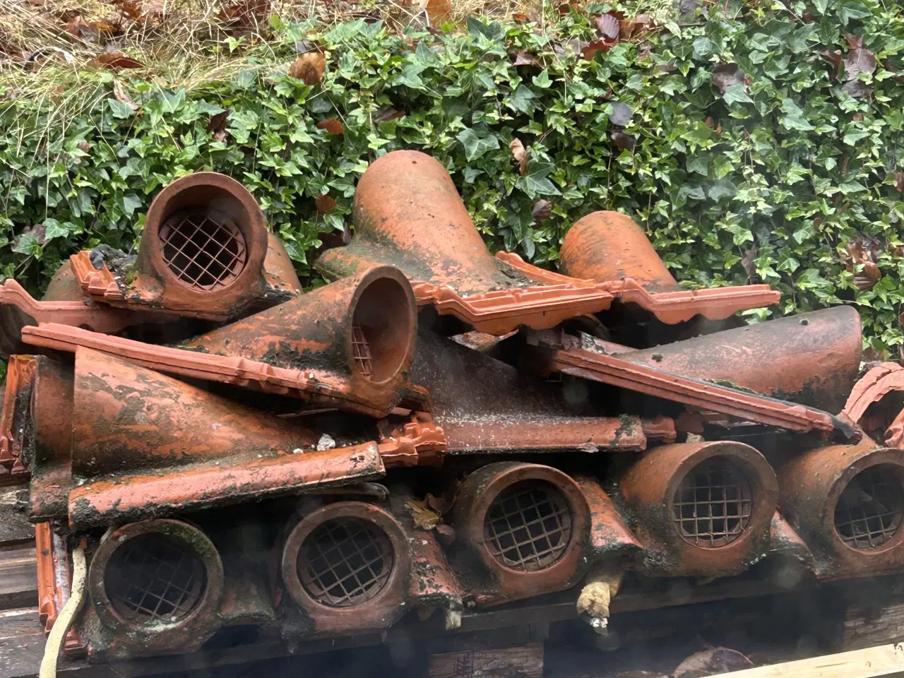 Billede 1 - K21 Lysbro tudsten