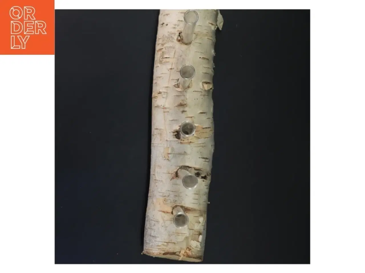 Billede 2 - Unik blomsterholder i birketræ med reagensglas (str. 35x21 cm)