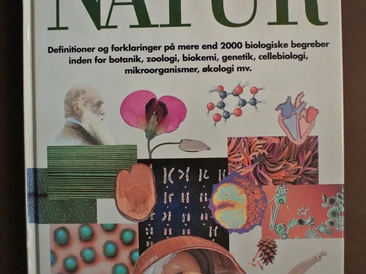 Billede 1 - politikens visuelle håndbog natur, Af tommy dybbro