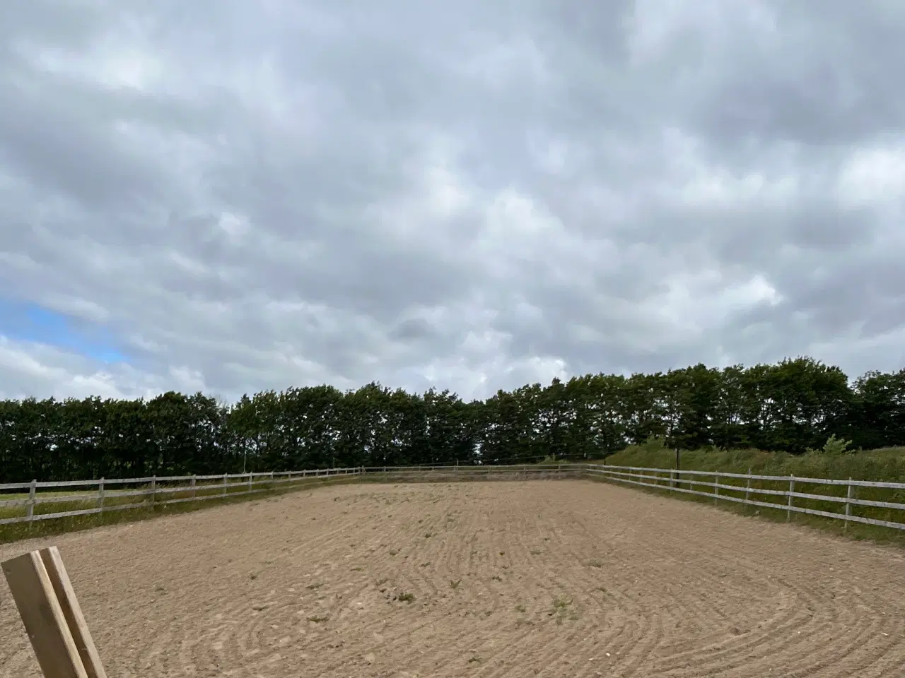 Billede 2 - Opstaldning fuldpas Astrup