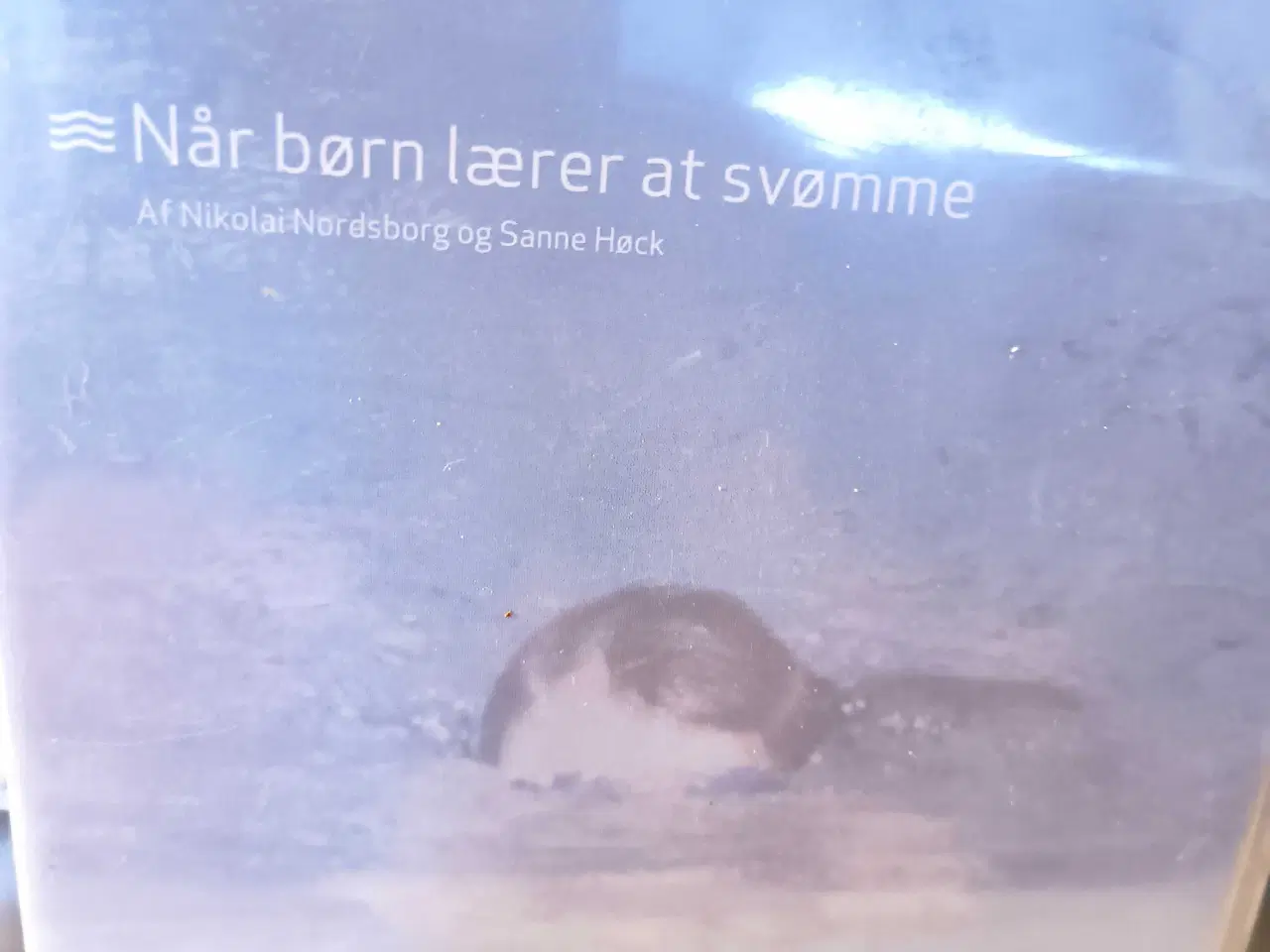 Billede 7 - CD ROM SPIL og  2 fysiske spil.