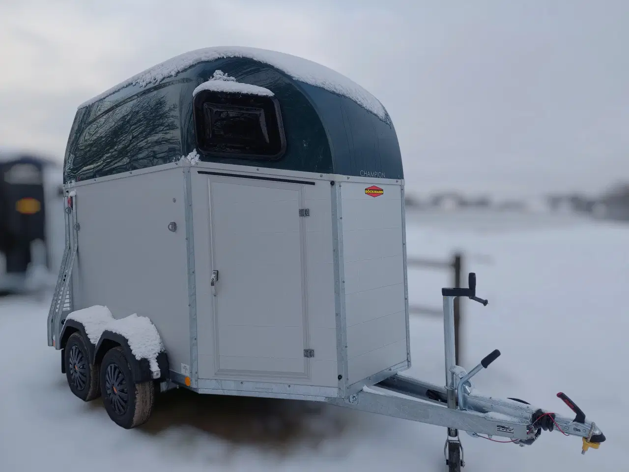 Billede 1 - Böckmann Champion Esprit (Udstilling)