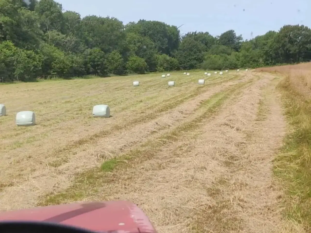 Billede 3 - Ø 60 Wrap baller