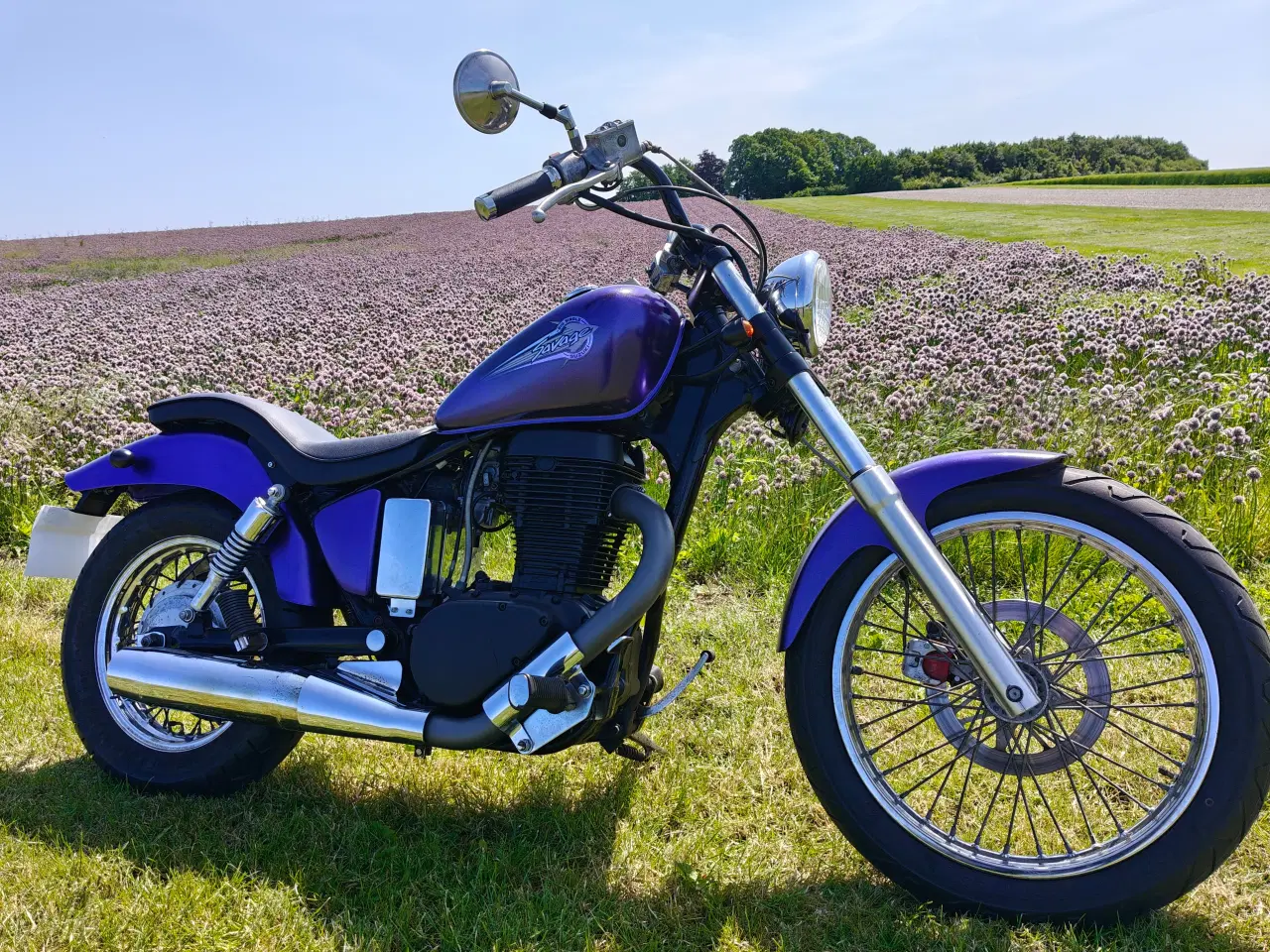 Billede 2 - Suzuki LS650 Savage 