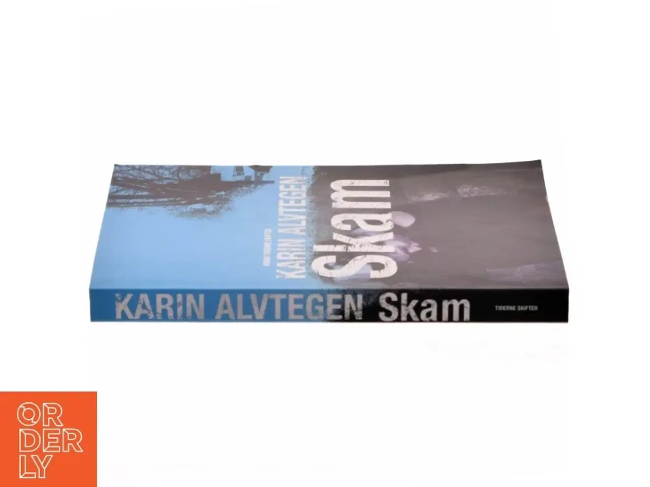 Billede 2 - Skam af Karin Alvtegen