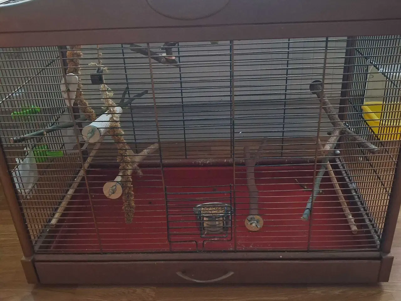 Billede 1 - Bur til undulater