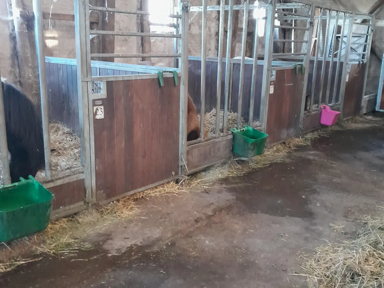 Billede 1 - Hestebokse fra Fremtiden Staldinventar sælges