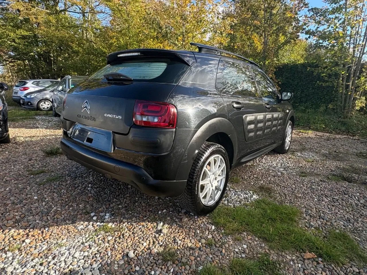 Billede 5 - Citroën C4 Cactus 1,6 e-HDi 92 Shine ETG6
