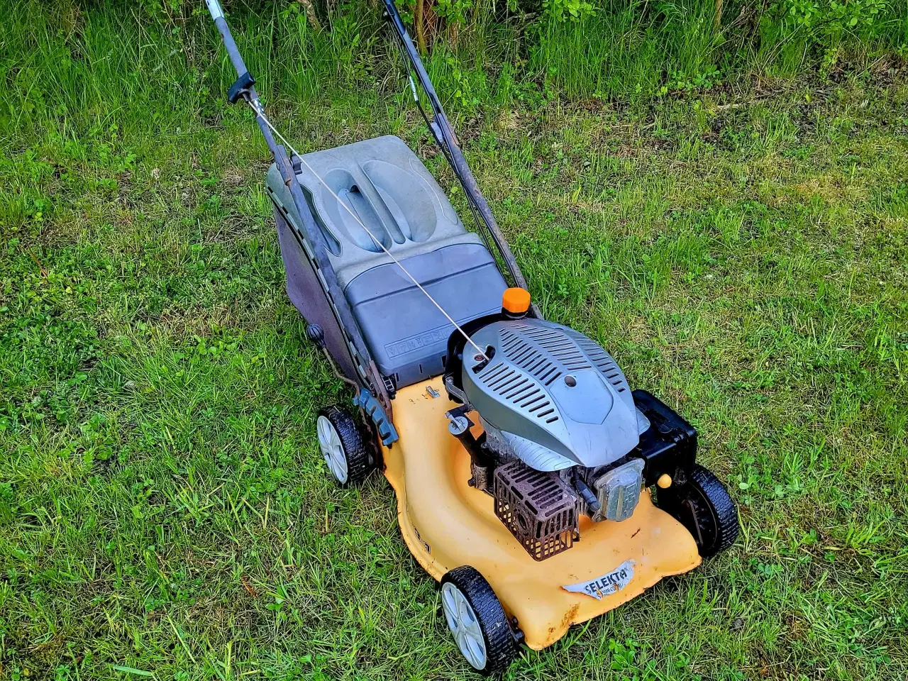Billede 2 - Selekta SL 50 TR COMBI