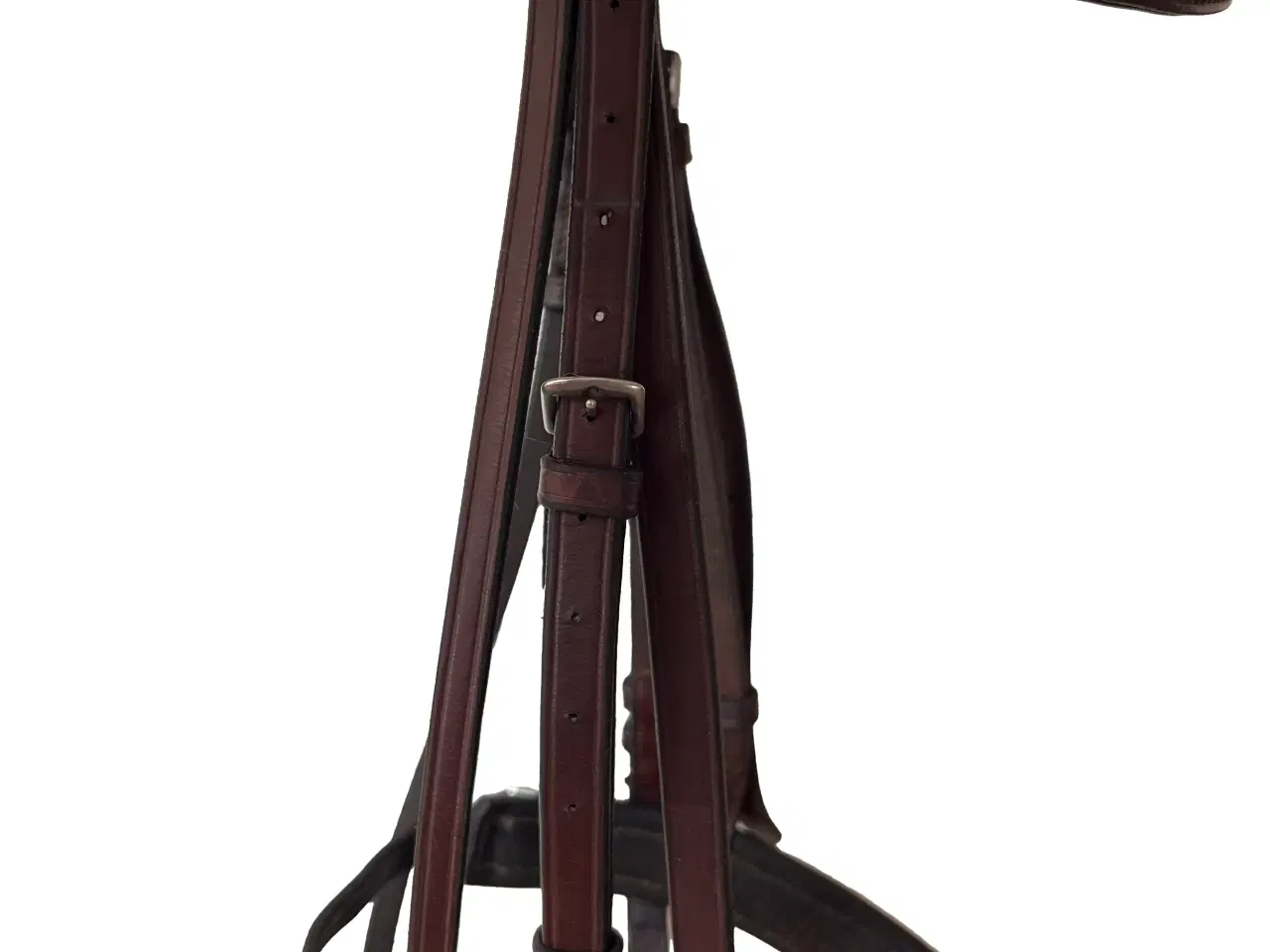 Billede 3 - Tophorse trense, Full, Brun/Sølv