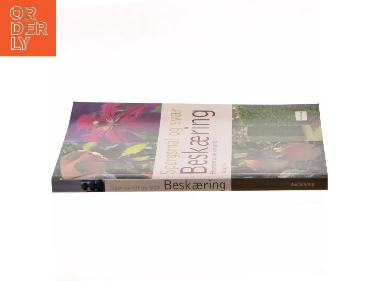 Billede 2 - Beskæring : ekspertsvar på alle spørgsmål af Richard Bird (Bog)