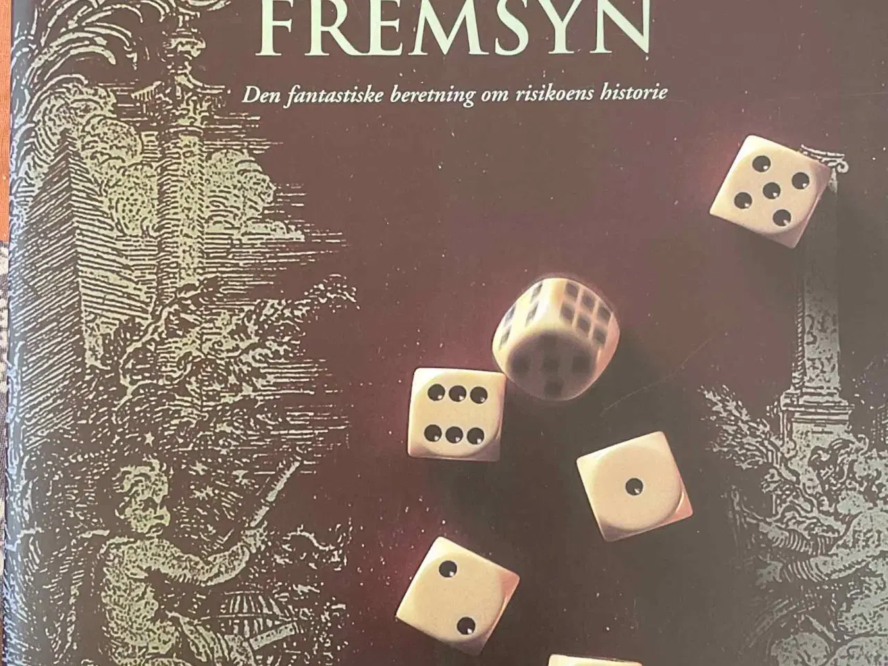 Billede 1 - Fra forsyn til fremsyn. Om risikoens historie