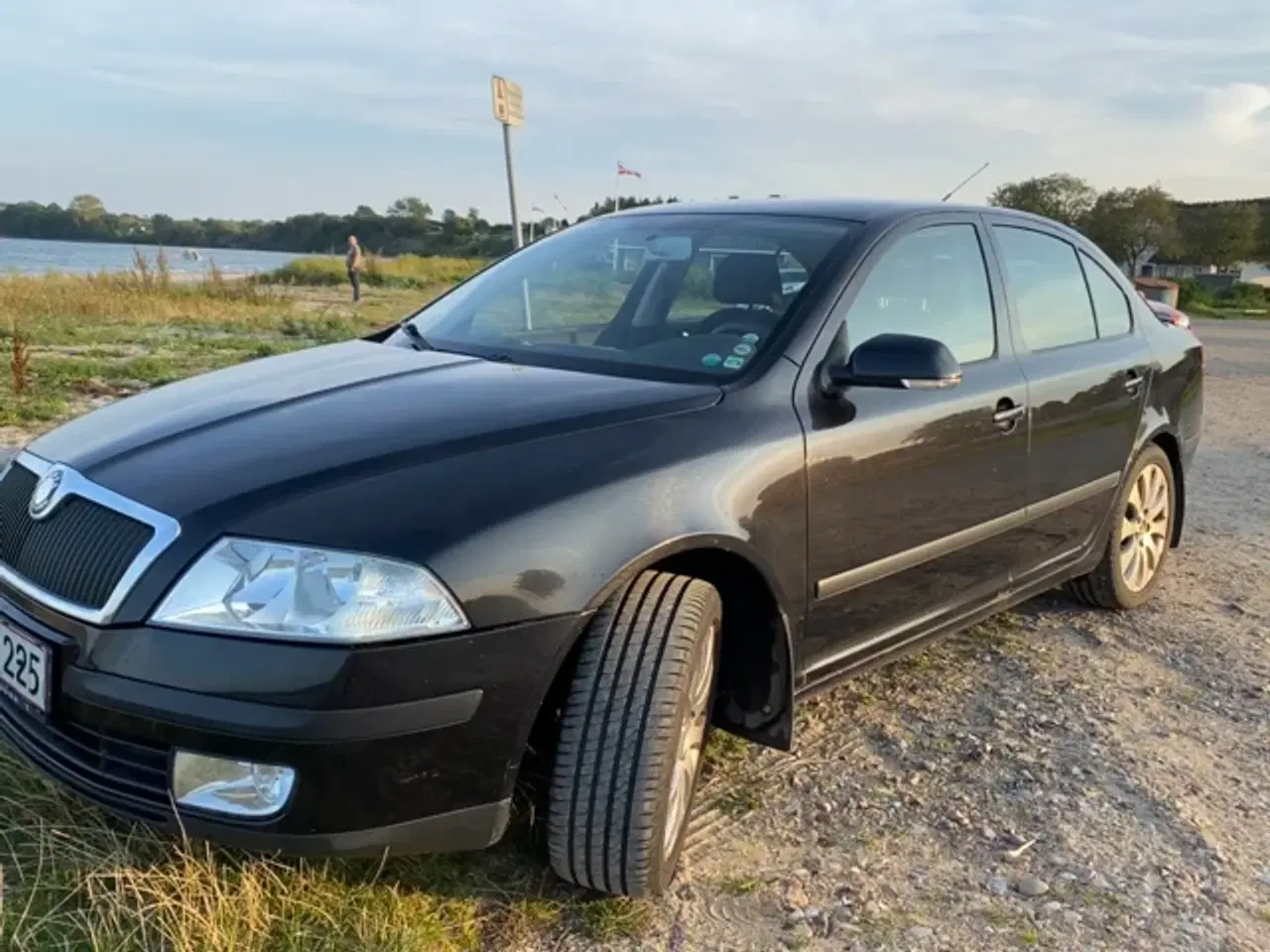 Billede 3 - Skoda Octavia diesel